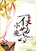 小妾不好当穿书陶佳人