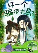 好一个骗婚夫郎txt书包网