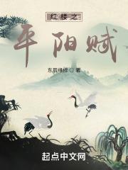 红楼之平阳赋简介