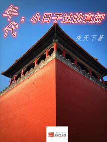 年代小日子过的真好楚向前