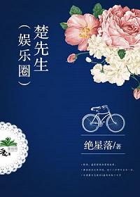 楚先生娱乐圈txt宝书