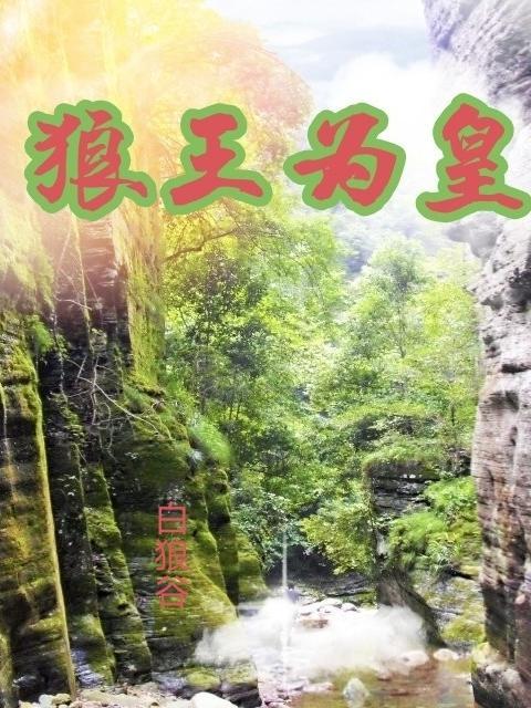 狼王是哪部