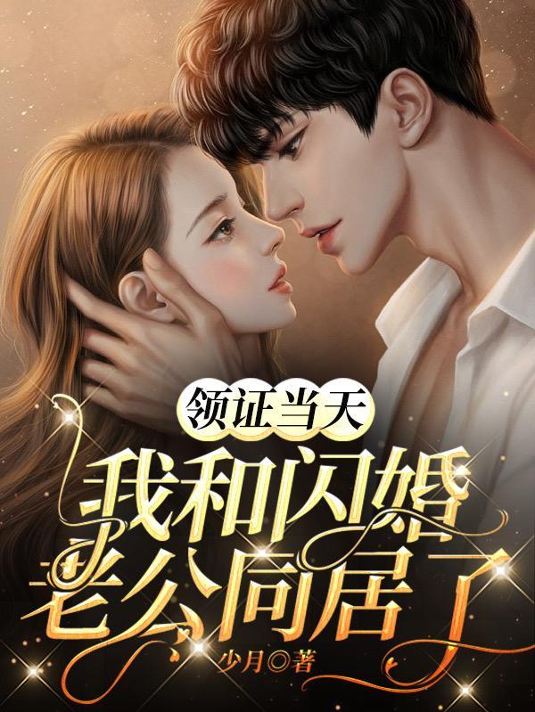 领证当天我和闪婚老公同居了顾笙