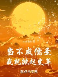 当不成儒圣我就掀起变革有女主吗