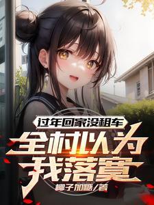 过年租个车回家行不行