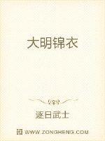 锦衣大明