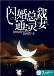 闪婚总裁短剧免费观看
