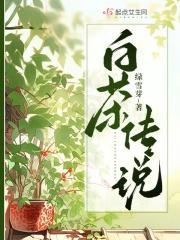 白茶传说白茶流萤