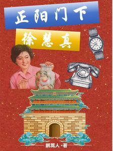 四合院娶秦京茹的