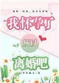 所以离婚吧全文免费阅读