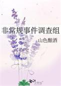 非常规事件调查组攻受