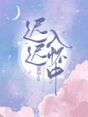 迟迟入怀中作者是谁