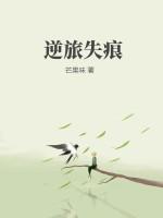 逆旅主人作品