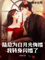 我转身闪婚了免费阅读