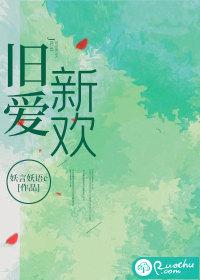 旧爱新欢总统请离婚书评