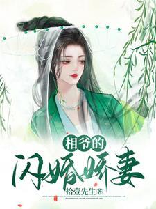 相爷家的傻女