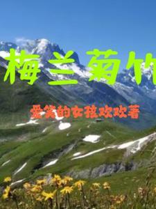 梅兰菊竹香烟价格表