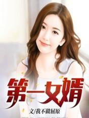 第一女婿TXT电子书免费