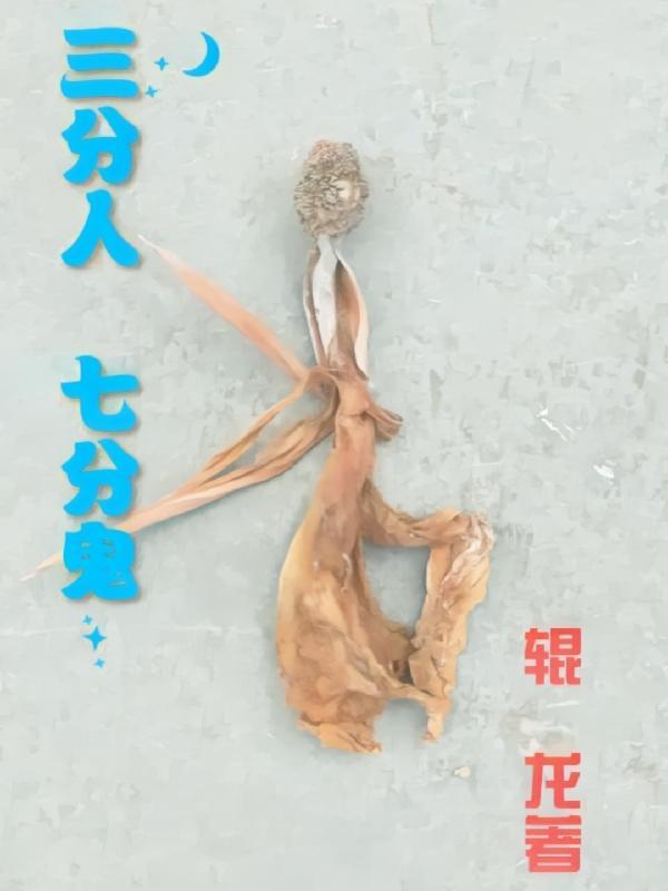 三分人七分鬼三地谜底