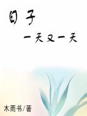 日子一天一天就这样过去是什么歌