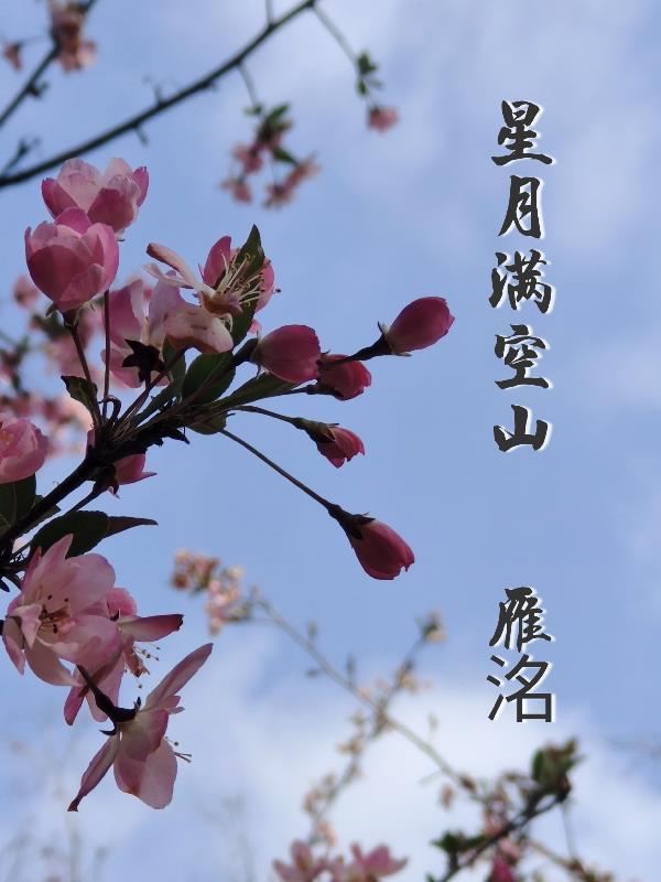 月满空山可奈何是啥意思
