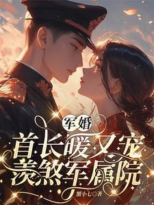 军婚首长暖又宠羡煞军属院