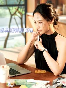 总裁的特别助理by