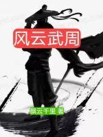 风云武功设定