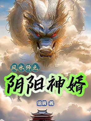 阴阳风水师系列