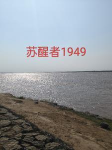 苏醒是什么里的人物