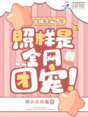 二婚又怎样免费阅读