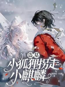 盗墓笔记狐狸