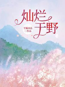 灿烂是啥电视剧