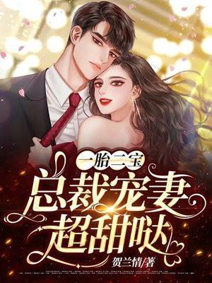 一胎二宝总裁宠妻火辣辣免费阅读