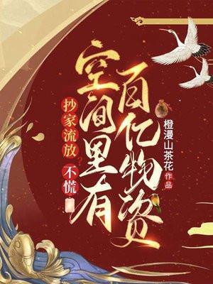 抄家有空间的