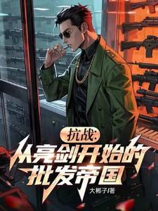 抗战从亮剑副本开始