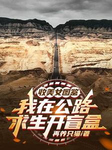 我在路费求生捡碎片