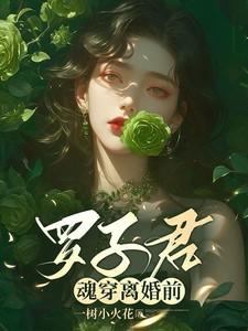 罗子君魂穿离婚前 txt