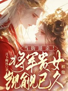 女将军一朝回朝
