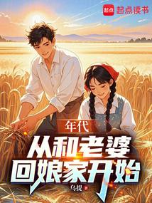 年代从和老婆回娘家开始书评