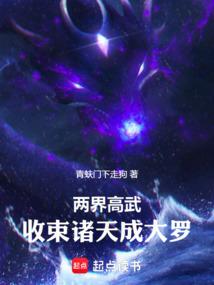 两界大高手txt