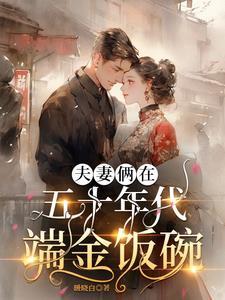 夫妻俩在五十年代端金饭碗_暖晓白/著-新书网