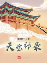 天宝iv