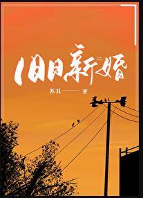 旧夫新婚