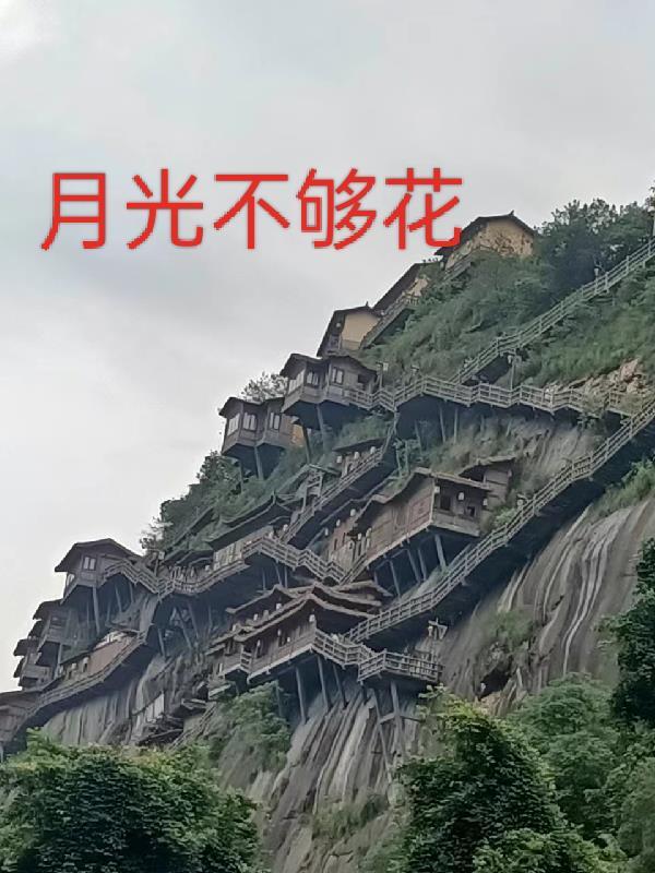 华夏星光文化传播股份有限公司