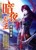 暗夜君王写完了吗