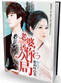 老婆要你上瘾全文
