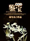 重生之鉴宝捡漏之王2