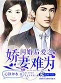 闪婚娇妻下拉氏
