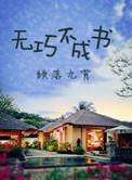 无巧不成书的反义词